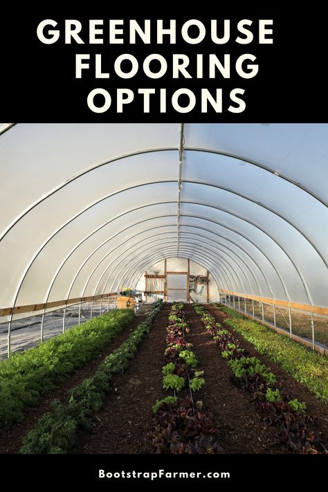 You will want to read this before you decide what to install as your hoop house floor! Learn about different ways to increase drainage and mitigate flooding issues with your greenhouse floor choices. There are a wide variety of options when it comes to flooring in a hoop house and each has its own pluses and minuses. Green House Floor Ideas, Greenhouse Flooring Ideas, Greenhouse Floor Ideas, Greenhouse Flooring, Greenhouse Goals, Hoop Greenhouse, Greenhouse Floor, Hoop House, Best Greenhouse