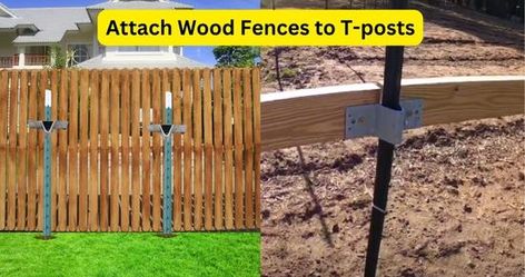 complete guide to attach wood fence to T-post using T-post adapters T Post Wood Fence, T Post Fence Ideas, T Post Fence, Yard Planning, Diy Fencing, Fencing Tools, Wood Fence Post, Wooden Fence Panels, Wooden Fence Posts