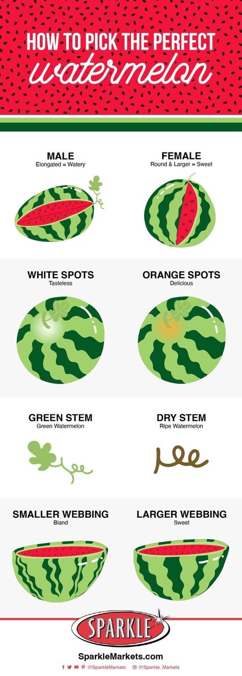 How To Tell A Good Watermelon, How To Find The Perfect Watermelon, How To Tell If A Watermelon Is Good, How To Choose A Watermelon, How To Choose Watermelon, Pick A Watermelon, Watermelon Facts, Good Watermelon, Cooking Hobby