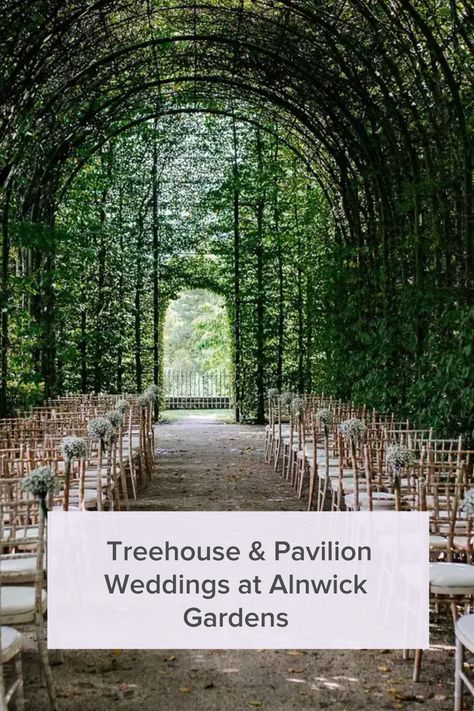 Qld Wedding Venues, Alnwick Gardens Wedding, Garden Courtyard Wedding, Non Traditional Wedding Venues, Green House Wedding Venues, Venue Landscaping, Alnwick Gardens, Wedding Venue Garden, Treehouse Wedding