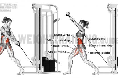 Cable Machine Workout, 30 Day Ab Workout, Fitness Studio Training, Cable Workout, Oblique Workout, Cable Machine, Training Exercises, Ab Exercises, Best Abs