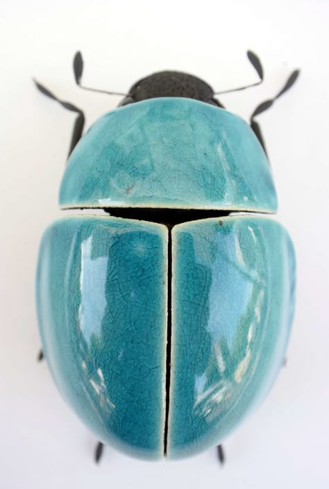 Insects made of clay - MAD' IN EUROPE: request quotes, estimates, prices or catalogues online through MOM, your B2B digital platform dedicated to decor, design and lifestyle professionals. Beetle Art, Cool Insects, Cool Bugs, Bug Art, Beetle Bug, Blue Beetle, Beautiful Bugs, Insect Art, Ceramic Animals