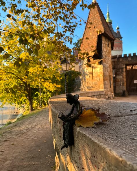 Postals of 📍Városliget @liget_budapest 🍂🍂 #budapestgram #budapestgramers #városliget #citypark #autumn #budapest_gram #budapestphotography #travelinspiration #travelphotography #travelblogger #budapest_now #budapešť #budapesthungary #budapesthungaryblog #budapesttravel #budapestlife #budapestautumn #autumn2024 #budapest_is_awesome #budapeste Budapest Travel, Favourite Season, City Park, Budapest Hungary, Emotional Connection, Park City, Cancun, Maple Leaf, Budapest