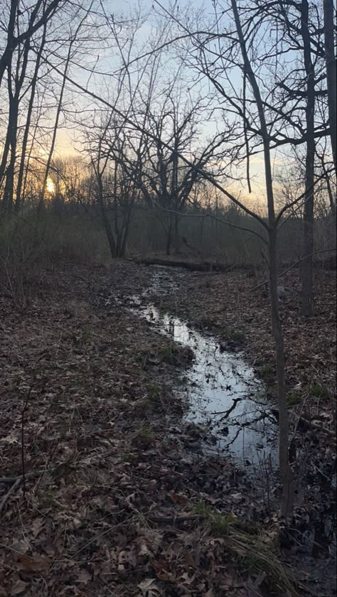 Illinois Aesthetic Country, Ohio Scenery, Illinois Aesthetic, American Wizarding School, Ethel Cain Aesthetic, Purple Syrup, Aesthetic Peaceful, Runaway With Me, Vampire Book