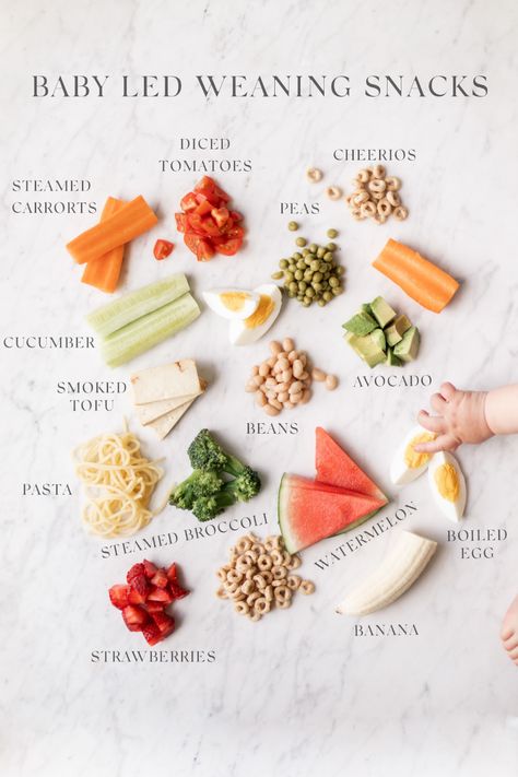 Baby Weaning Foods, Baby Food Guide, Fingerfood Baby, Baby Led Weaning First Foods, Weaning Foods, Baby Led Feeding, Easy Baby Food Recipes, Baby Led Weaning Recipes, Healthy Baby Food