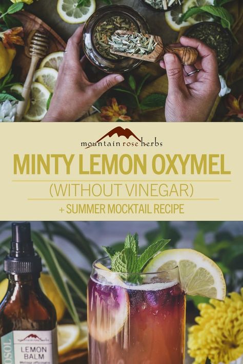 Vinegar Mocktail, Oxymel Recipe, Herbalism Books, Herbal Mocktails, Bubbly Mocktail, Summer Mocktail Recipe, Herbal Alchemy, Herbal Properties, Summer Mocktail Recipes