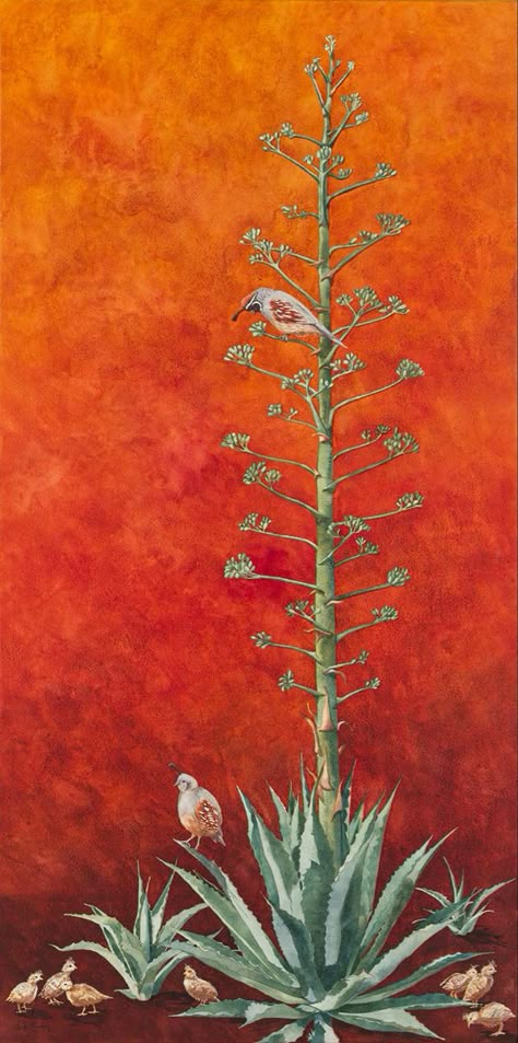 Heidi Rosner | WATERCOLOR | The Next Generation Agave Painting, Mexican Watercolor, Desert Habitat, Creature Painting, Desert Pictures, Az Art, Cactus Pictures, Mexican Paintings, Quails