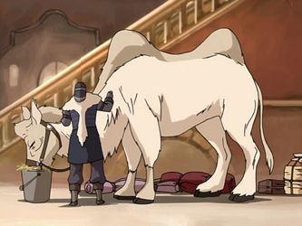 Arctic camel | Avatar Wiki | Fandom Southern Water Tribe, Beast Of Burden, Avatar Animals, Water Tribe, Nickelodeon Cartoons, Air Bender, My Fantasy World, Monster Hunter World, Avatar Characters