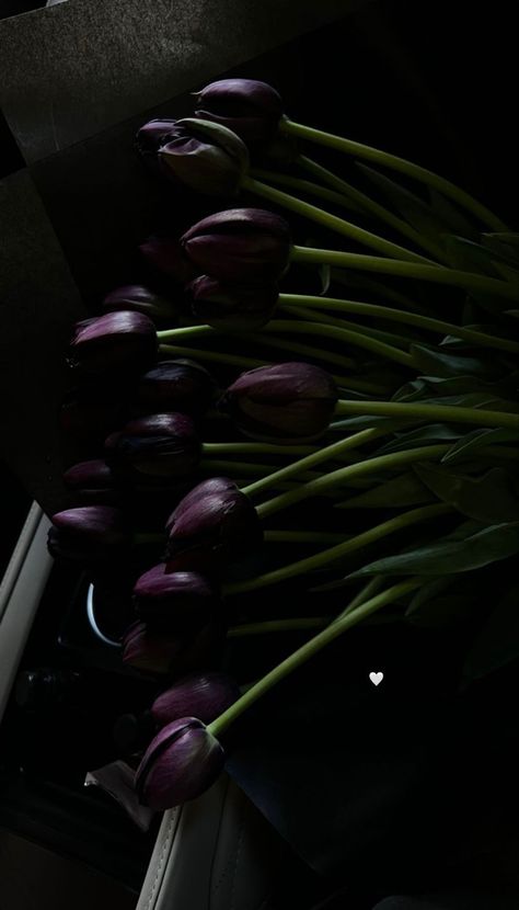 Feminine Wallpaper, Not Aesthetic, Violet Aesthetic, Vintage Flowers Wallpaper, Black Tulips, Tulip Bouquet, Nothing But Flowers, Purple Tulips, Flower Therapy