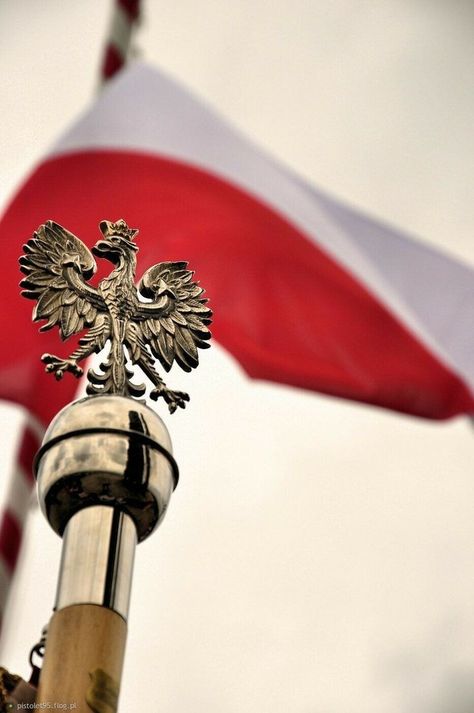 Polish Core, Polish Folklore, Polish Flag, Poland Flag, Polish Culture, Poland Travel, The Virtues, S K, Country Flags