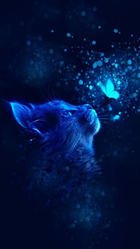 Butterflies Meaning, Cat And Butterfly, Anime Nails, Image Chat, Warrior Cats Art, Cute Cat Wallpaper, Cute Cats Photos, Cute Animals Images, Unique Cats