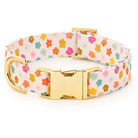 Rainbow Flower Dog Collar – The Foggy Dog Positive Artwork, Foggy Dog, Flower Dog Collar, The Foggy Dog, Flower Dog, Puppy Accessories, Cute Dog Collars, Dog Flower Collar, Rainbow Flower