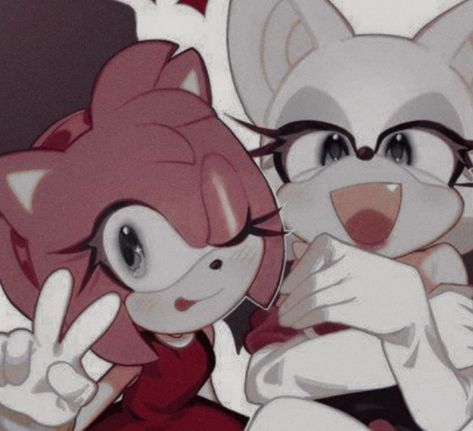 Rouge And Amy Matching Pfp, Amy And Rouge Matching Pfp, Sonic Gallery, Sonic Pfp, Shadow And Rouge, Couple Profile, Sally Acorn, Aphmau Characters, Rosé Christmas