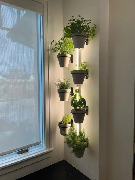 Indoor Plant Setup Grow Lights, Cute Grow Light Setup, Plant Lights Indoor Setup, Michigan Apartment, Plant Furniture, Indoor Garden Apartment, Studio Vibes, Indoor Grow Lights, Light Setup