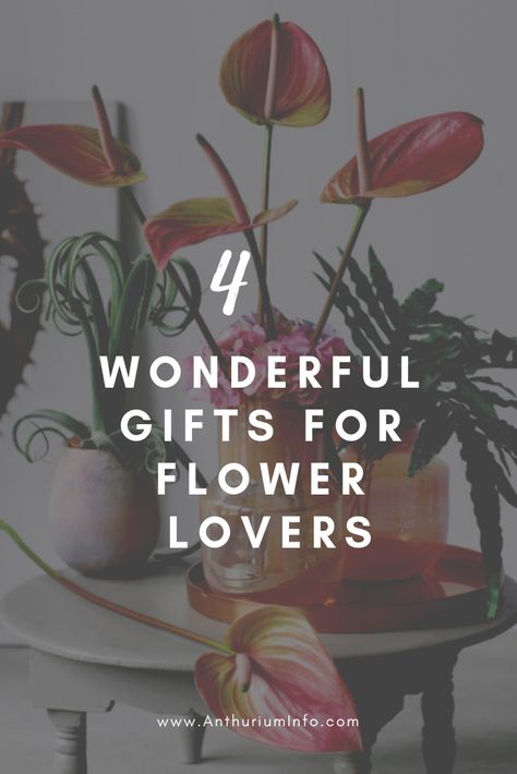 4 nice gifts for flower lovers | Anthurium Info | anthurium, flower, flowers, present, presents, gift Gifts For Flower Lovers, Natural Bridge Kentucky, Flowers Present, Phone Wallpaper Art, Chocolate Cosmos, Anthurium Plant, Anthurium Flower, Floating Garden, Flower Shower Curtain