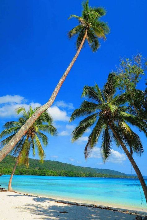 Lonnoc Beach, Espiritu Santo, Vanuatu Cheap Beach Vacations, Tropical Beach Resorts, Where Is Bora Bora, Tahiti French Polynesia, Lanai Island, South Pacific Islands, Beautiful Beach Pictures, Vacation Tropical, Jamaica Vacation