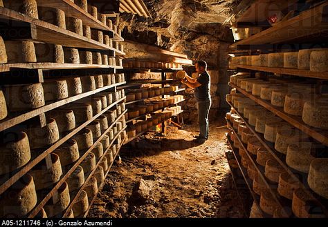 Cabrales Cheese Cave. Cheese fermentation of Bada family. Cheese Cellar, Cheese Cave, Castle Floor Plan, Cheese Factory, Asturias Spain, French Cheese, Root Cellar, Artisan Cheese, Cheese Lover