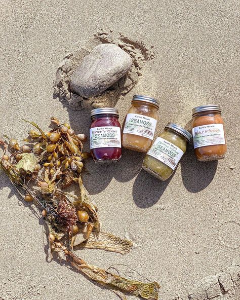 EARTH’S MIRACLE on Instagram: “Sea Moss, commonly referred to as Irish Moss in the Caribbean is one of the most powerful superfoods in the Ocean. It contains 92 of the…” Sea Moss Aesthetic, Seamoss Aesthetic, Moss Aesthetic, Irish Moss, Irish Sea, Sea Moss, In The Ocean, The Caribbean, Superfoods