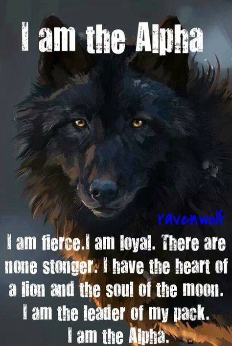 I am the Alpha of my house. Quotes Warrior, Wolf Pack Quotes, I Am The Alpha, Lone Wolf Quotes, Wolf Images, Alpha Wolf, Wolf Quotes, Wolf Spirit Animal, She Wolf