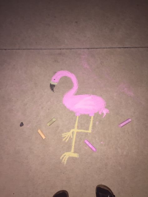 Fun Chalk Art, Chalk Ideas, Chalk Talk, Sidewalk Chalk Art, Chalk Drawings, Sidewalk Chalk, Chalk Art, Flamingo, Chalk