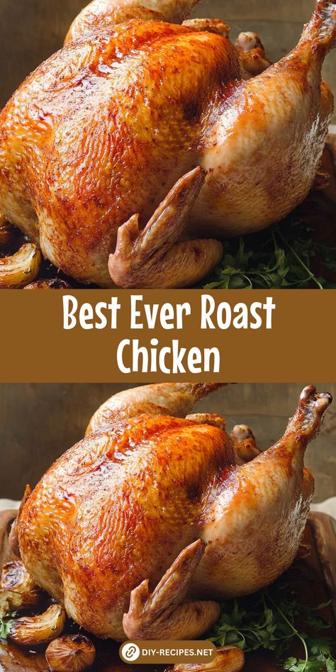 Discover the best roast chicken recipe ever! This juicy chicken is seasoned with a garlic herb butter, roasted to perfection with lemon and wine. The Best Roasted Chicken, Roasted Hen Recipe Ovens, Full Chicken Roast, Best Roasted Chicken Recipe, Roast Chicken Oven, Roasted Chicken Whole, Roasted Chicken Recipes, Best Roast Chicken Recipe, Roast Chicken Seasoning