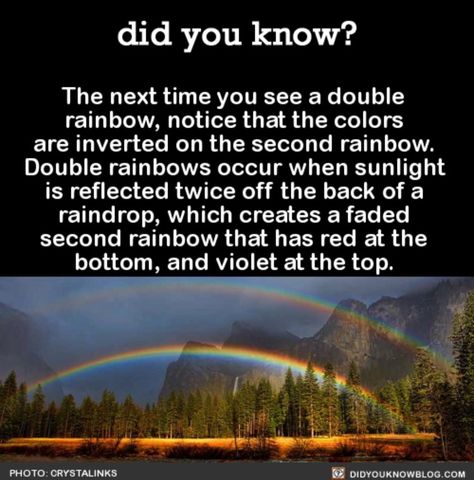 X Science Basics, Double Rainbows, Odd Facts, What The Fact, Crazy Art, Cool Science Facts, Fact Of The Day, Double Rainbow, Weird Science