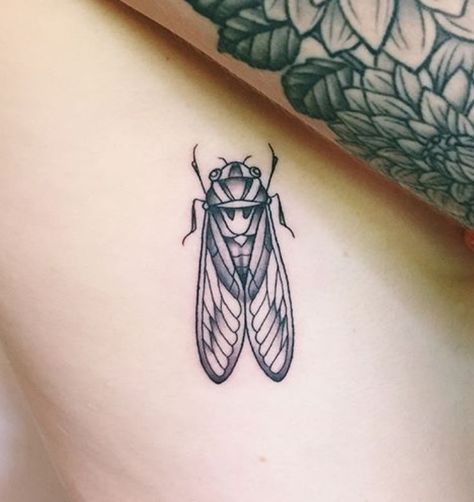 Cicadas Tattoo, American Traditional Cicada Tattoo, Simple Cicada Tattoo, Cicada Tattoo Traditional, Cicada Wing Tattoo, Cicada Tattoo Design, Bug Tattoos For Women, Cicada Tattoo, Beetle Tattoo