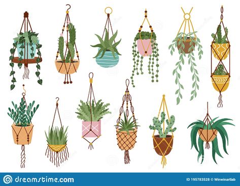 Plant in hanging pots. Houseplant hang on rope, decorative indoor plants, macrame flower pots, home potted plants vector. Illustration about holder, botanical, isolated - 195783528 Pot Gantung, Inspiration Draw, Handmade Hanger, Plant Doodle, Indoor Plant Wall, Hanging Plant Wall, Plant Vector, Succulents Decor, Lesson Planner