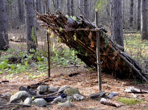 Lean To Shelter, Bushcraft Shelter, Outdoor Skills, Shtf Preparedness, Shtf Survival, Primitive Survival, Diy Survival, Doomsday Prepping, Bush Craft