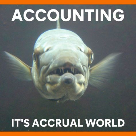 We love accounting (and bookkeeping), accounting is our favorite. #memes #friday #accountantsofinstagram Accounting Jokes, Payroll Accounting, Cute Prom Proposals, Accounting Humor, Prom Proposals, Prom Proposal, End Of Year, Reaction Pics, Accounting