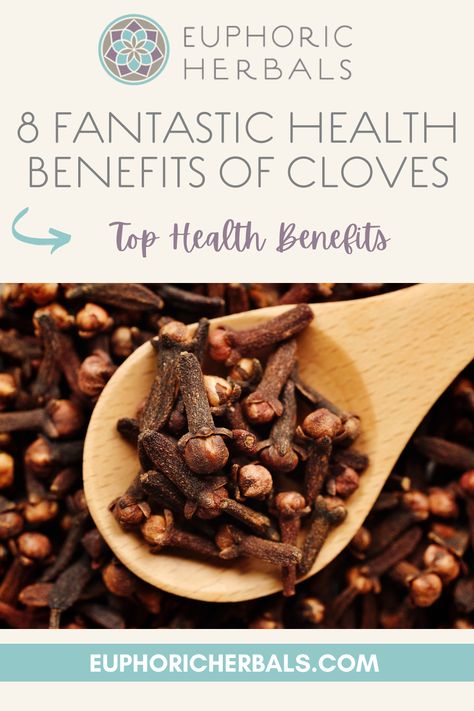 Cloves are a popular and very aromatic spice. They enter frequently into holiday baking and are a staple in Indian spice blends. Once worth their weight in gold, there are also many powerful health benefits of cloves that might surprise you. Here's more about their history and the most notable health benefits of cloves.