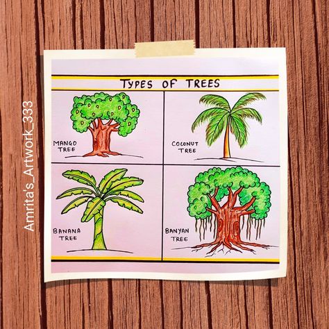 Subscribe my YouTube channel for more creative Drawings Different Types Of Trees Drawing, Types Of Trees Drawing, Type Of Trees, Tree Drawing For Kids, Drawing Easy For Kids, Trees Drawing, Types Of Trees, Trees For Kids, Creative Drawings