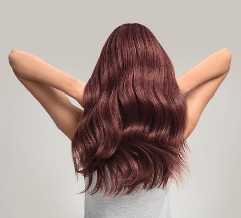 Dark Rose Hair Color, Dark Rose Hair, Rose Hair Color, Color Hair Styles, Long Hair Care, Wella Color Fresh, Russian Roulette, Wella Color, Dark Rose