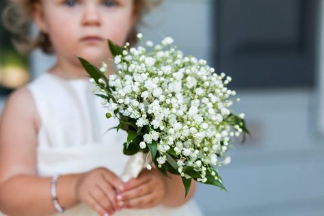 flower girl bouquet, baby's breath, Bridesmaid Boutique, Small Wedding Bouquets, Simple Wedding Bouquets, Flower Girl Wand, William Penn, Flower Girl Bouquet, Blush Wedding Flowers, Green Bouquet, Inn Wedding