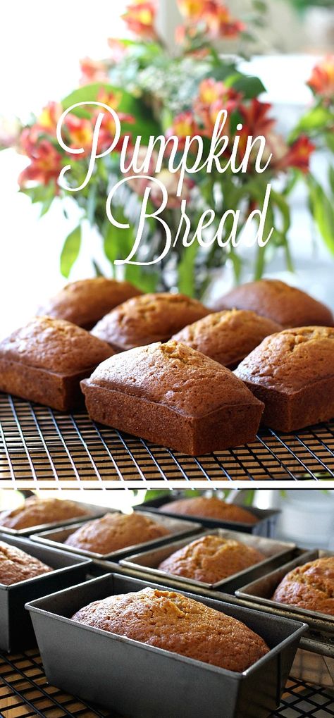 Delicious pumpkin bread full of cinnamon, nutmeg, cloves & ginger. Perfect mini loaves to share with friends. Bake ahead & freeze for Thanksgiving. Mini Pumpkin Bread Loaves Gifts, Mini Loaves Pumpkin Bread, Mini Pumpkin Loaves, Christmas Loafs, Mini Pumpkin Bread Loaves, Mini Loafs, Fall Bread, Mini Bread Loaves, Mini Loaf Cakes