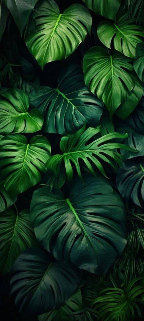 Earthy Iphone Wallpaper, Bohemian Aesthetic Wallpaper, Plants Wallpaper Aesthetic, Botanical Iphone Wallpaper, Leaves Wallpaper Iphone, Green Nature Wallpaper, Iphone Wallpaper Hd Nature, Leaves Wallpaper, Lovely Flowers Wallpaper