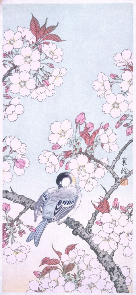 Tit among Cherry Blossoms Jō (Japanese) Japan, 20th century Prints; woodcuts Color woodblock print Image: 14 3/16 x 6 7/16 in. (36.0 x 16.4 cm); Paper: 15 11/16 x 7 3/4 in. (39.8 x 17.7 cm) Gift of Mr. and Mrs. Felix Juda (M.73.37.510) Japanese Art Cherry Blossom Japanese Art, Japanese Cherry Blossom Art, Japanese Paper Art, Woodcut Illustration, Japanese Flower Tattoo, Japanese Art Modern, Cherry Blossoms Illustration, Japanese Blossom, Japan Painting