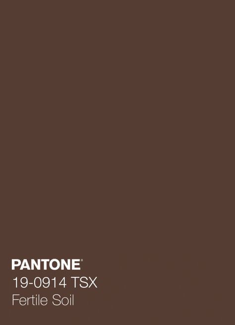 Pantone Skin Tones, Colour Pantone, Spa Bedroom, Color Backgrounds, Stone Temple, Palette Design, Skin Colour, Pantone Colors, Solid Color Backgrounds