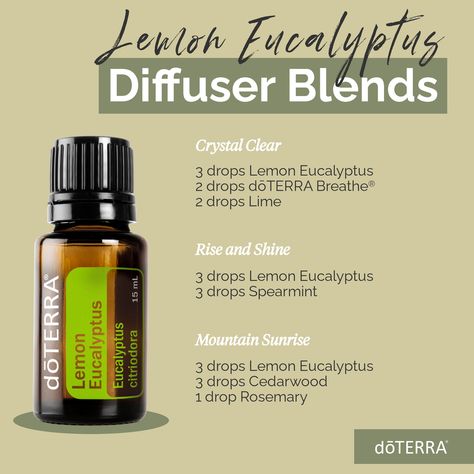 Eucalyptus Diffuser Blends, Doterra Lemon, Doterra Diffuser, Doterra Diffuser Blends, Essential Oil Safety, Doterra Essential Oils Recipes, Essential Oil Diffuser Blends Recipes, What Are Essential Oils, Lemon Eucalyptus