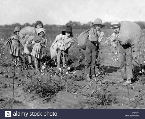 Download this stock image: Texas Cotton Pickers, 1913 - HRP40T from Alamy's library of millions of high resolution stock photos, illustrations and vectors. The Hunting Party, Irish History, Texas History, We Are The World, White Photo, Vintage Photographs, World History, Vintage Photography, Old Pictures