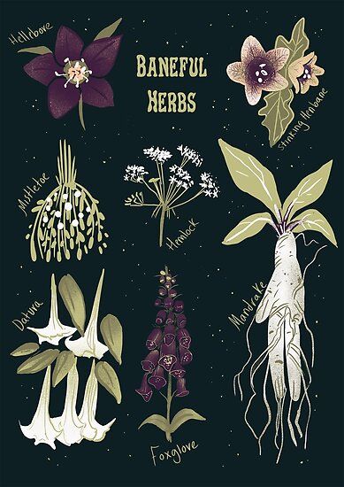 Witches Art, Witch's Garden, Witch Herbs, Witch Garden, Poisonous Plants, 1 Tattoo, Witch Art, Witch Aesthetic, Nature Garden