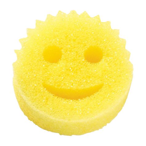 Scratch-Free Scrub Daddy | The Container Store Sugar Is Poison, Purple House, Mini Blinds, Pet Hair Removal, The Container Store, Etsy Stuff, As Seen On Tv