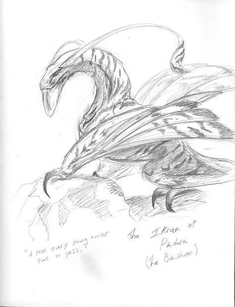 Ikran sketch by SilverFlight.deviantart.com on @deviantART Ikran Avatar Art, Ikran Avatar Sketch, Ikran Avatar Tattoo, Ikran Avatar Drawing, Avatar Ikran Art, Avatar Animals Pandora Drawing, Ikran Banshee, Ikran Avatar, Avatar Drawings Pandora Creatures