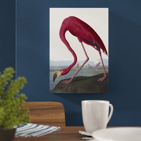 East Urban Home Flamingo by John James Audubon Graphic Art on Canvas | Wayfair.co.uk Pelican Art, Flamingo Art Print, Vintage Bird Illustration, Flamingo Painting, James Audubon, Birds Of America, Grand Art Mural, John James Audubon, Bird Illustration