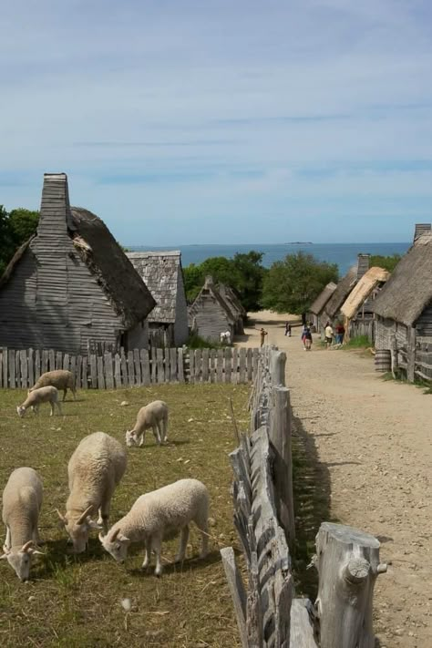 Farm Village, England Aesthetic, Medieval Aesthetic, Medieval Houses, Colonial America, Village Life, 판타지 아트, World Building, Medieval Fantasy