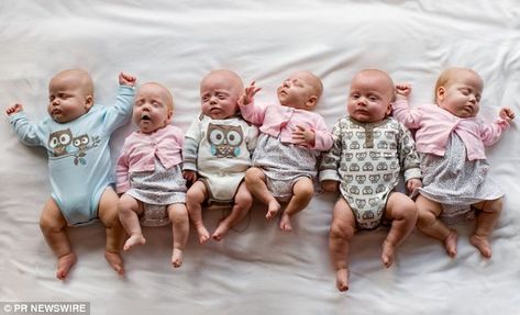 Perkins Sextuplets from TX- Benjamin, Allison, Levi, Leah, Andrew and Caroline were born April 23, 2012. Multiple Births, Multiples Baby, Life Learning, Twin Pregnancy, How To Have Twins, Childrens Hospital, Baby Fever, Daily Mail, Baby Photos