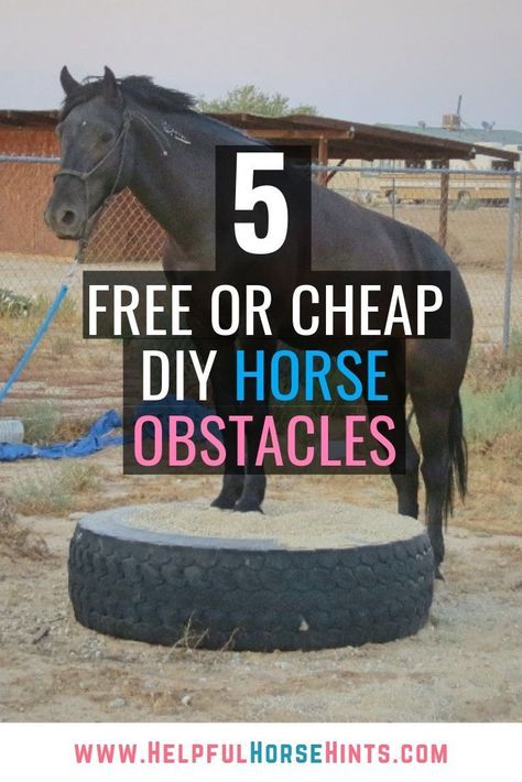 Introducing your horse to obstacles is a great way to help them become calmer, braver horses. The thing is, we spend so much money on our horses, it is nice every once in a while to look at some low-cost ways to help with our horsemanship. These five free or cheap DIY horse obstacles do just that.  These obstacles are great for horses, ponies, burros, donkeys and mules. Horse Obstacles, Horse Lessons, Horse Arena, Diy Horse, Horse Exercises, Horse Info, Horse Riding Tips, Horse Games, Horse Trail