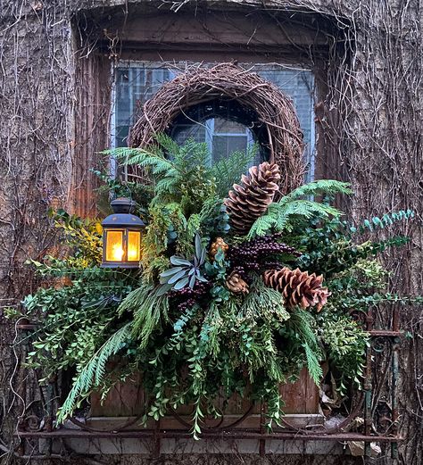 New Creations From a Window Box Expert - FineGardening Winter Window Boxes, Christmas Window Boxes, Landscape Christmas, Big Leaf Hydrangea, Winter Arrangements, Winter Planter, Christmas Planters, Home Window, Christmas Porch Decor