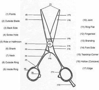 Precision Shears is a leading provider of professional hair curring scissors, Japanese haircutting shears, Japanese hair scissors and more. Shop today! Shears Tattoo, Hair Academy, Tattoo Cream, Aesthetic Objects, Barber Shop Decor, Job Hiring, Diy Haircut, Hair Cutting Techniques, Tattoo Machines