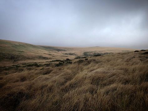 Dartmoor Aesthetic, Landscape Reference, Catherine Walker, Group Project, Wuthering Heights, Nice Pictures, St Ives, Borderlands, Hanging Baskets